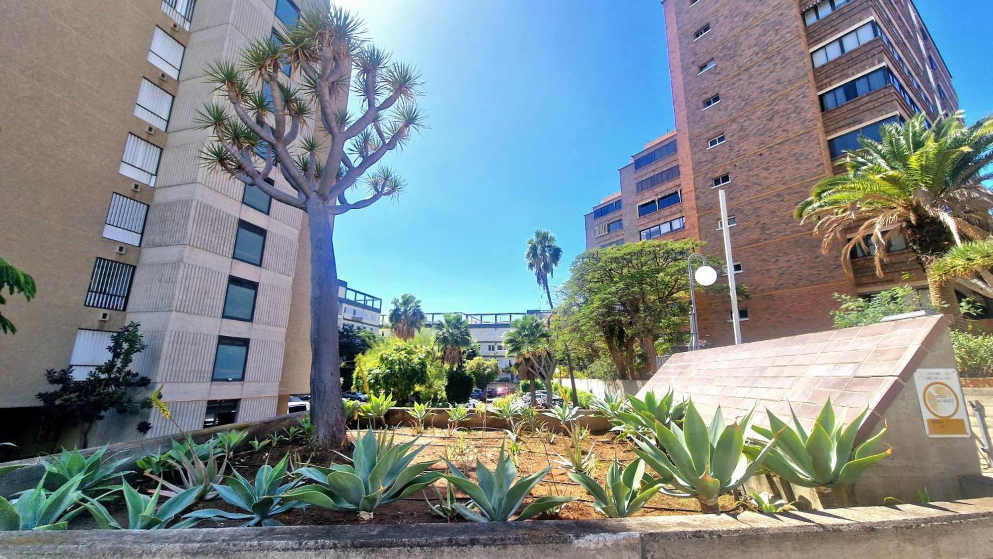 Apartamento Oroval Residencial Anaga Santa Cruz de Tenerife Bagian luar foto