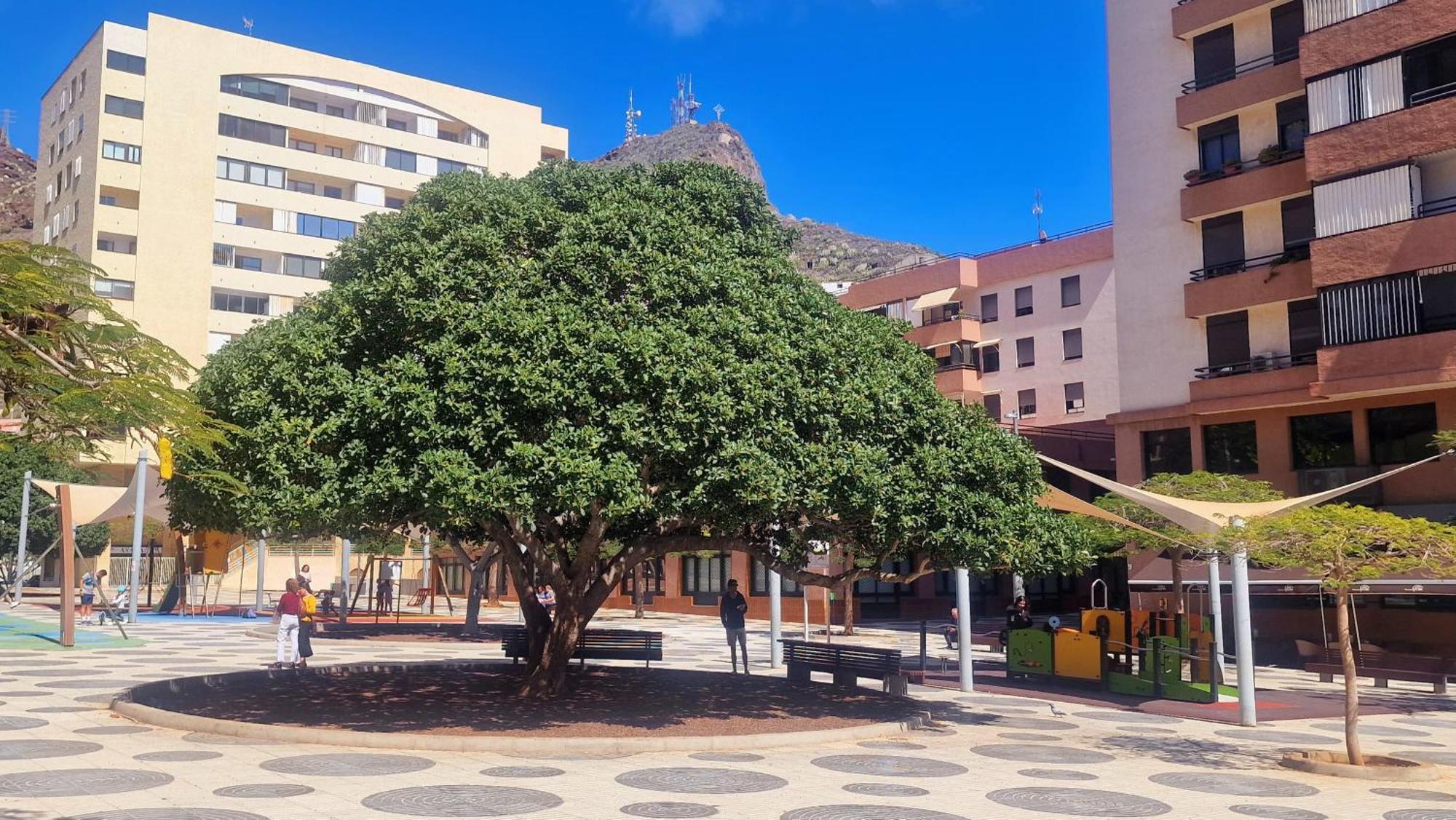 Apartamento Oroval Residencial Anaga Santa Cruz de Tenerife Bagian luar foto